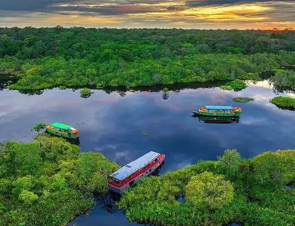Embarcaciones en santuario de Borneo