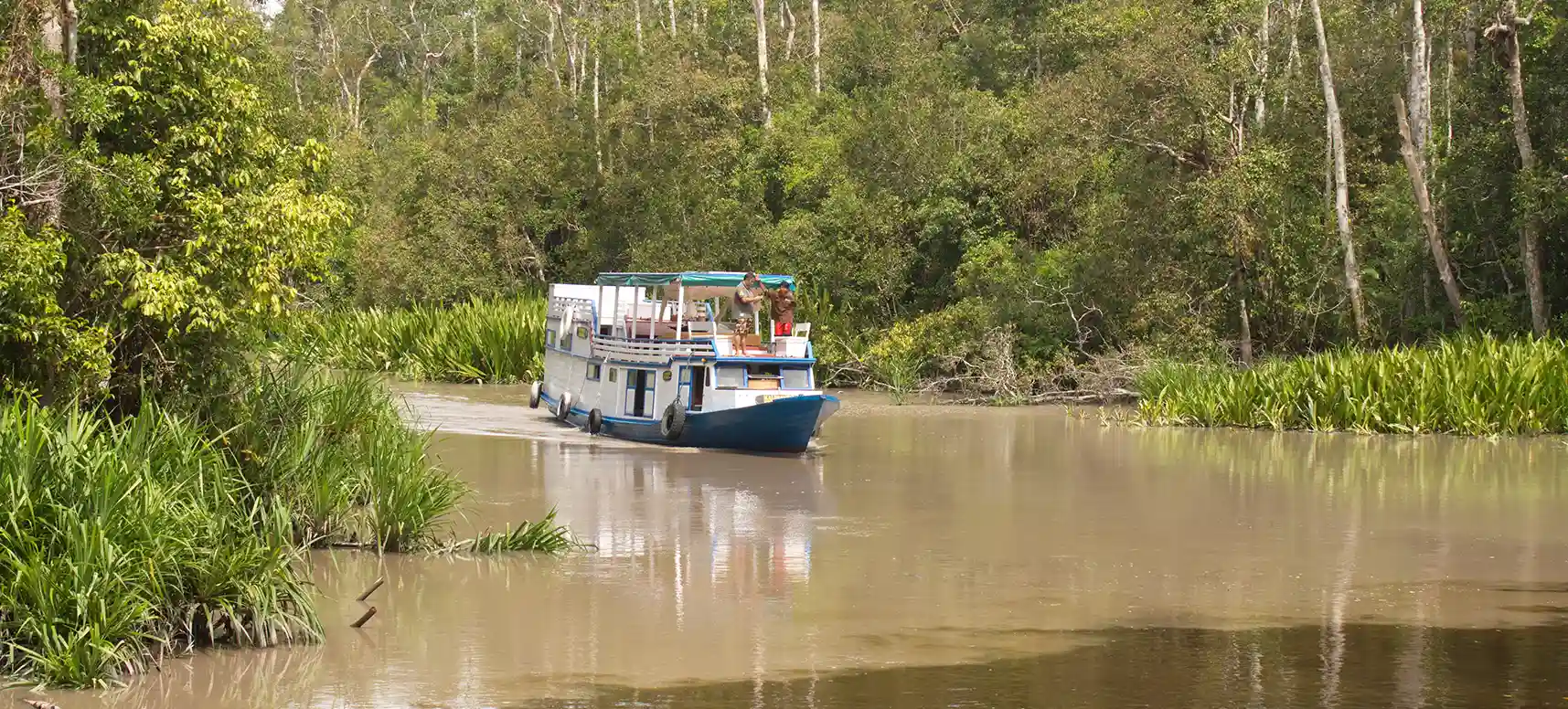 Klotok por el río de Borneo
