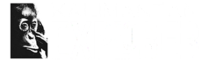 Kalimantan Explorer Logo